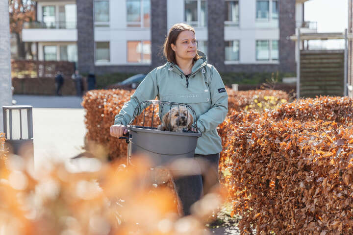 TRIXIE Hundefahrradkorb mit Universal-Halterung und Klickverschluss